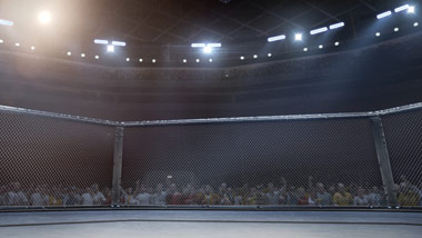 mma ring
