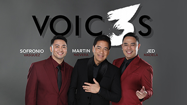 Voic3s Musical Group