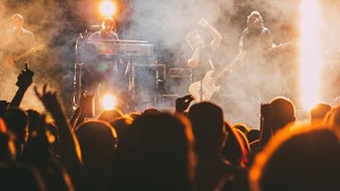 fans at concert