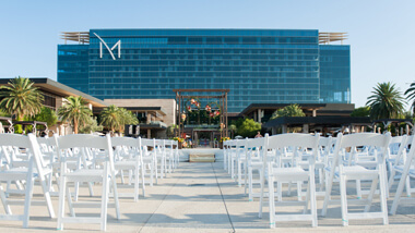 Wedding M Pool