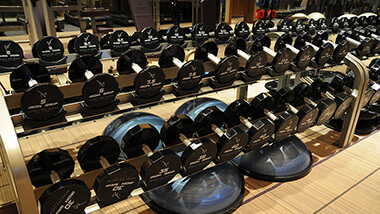 Fitness Room Weights